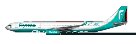 FLY NAS