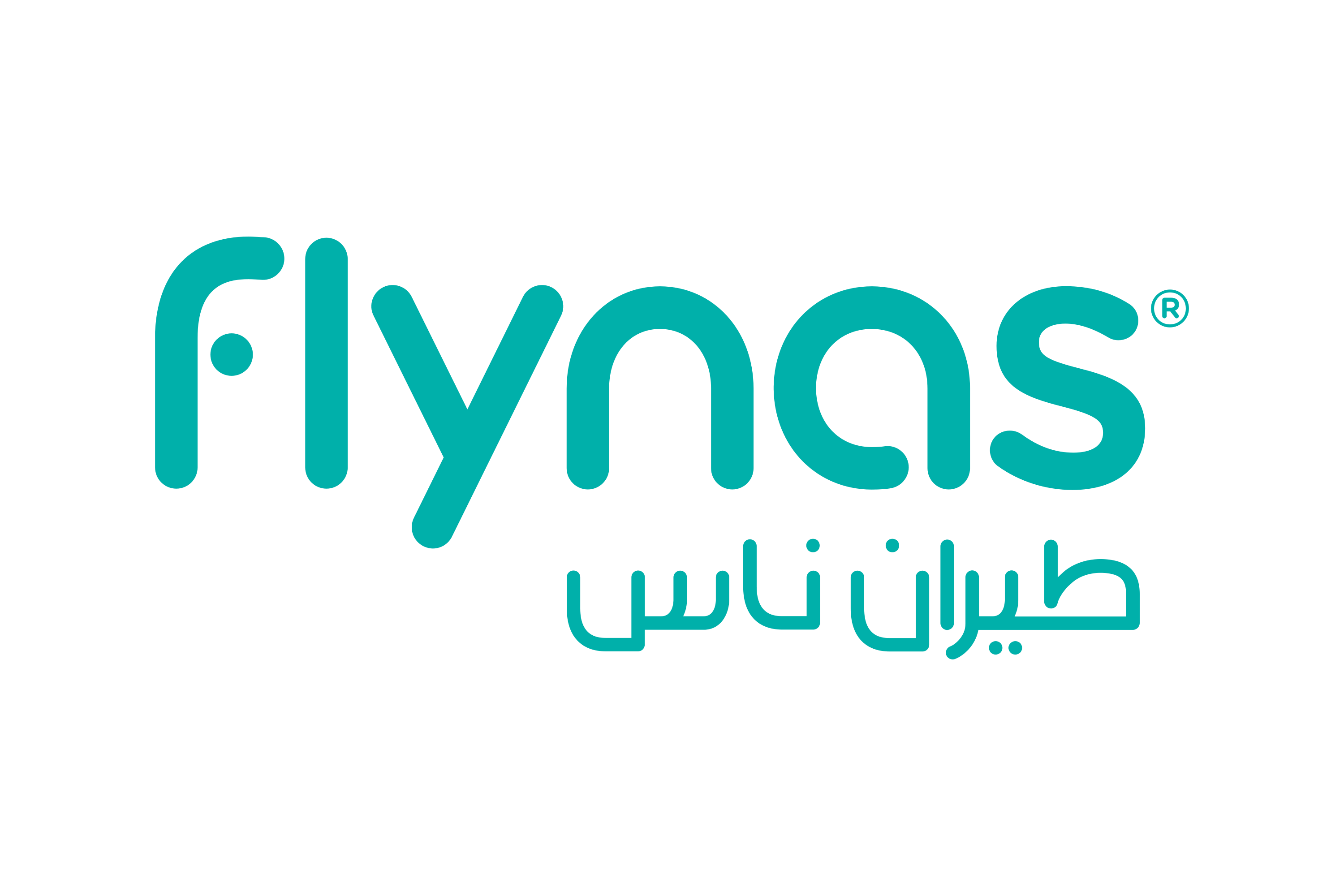 FLY NAS